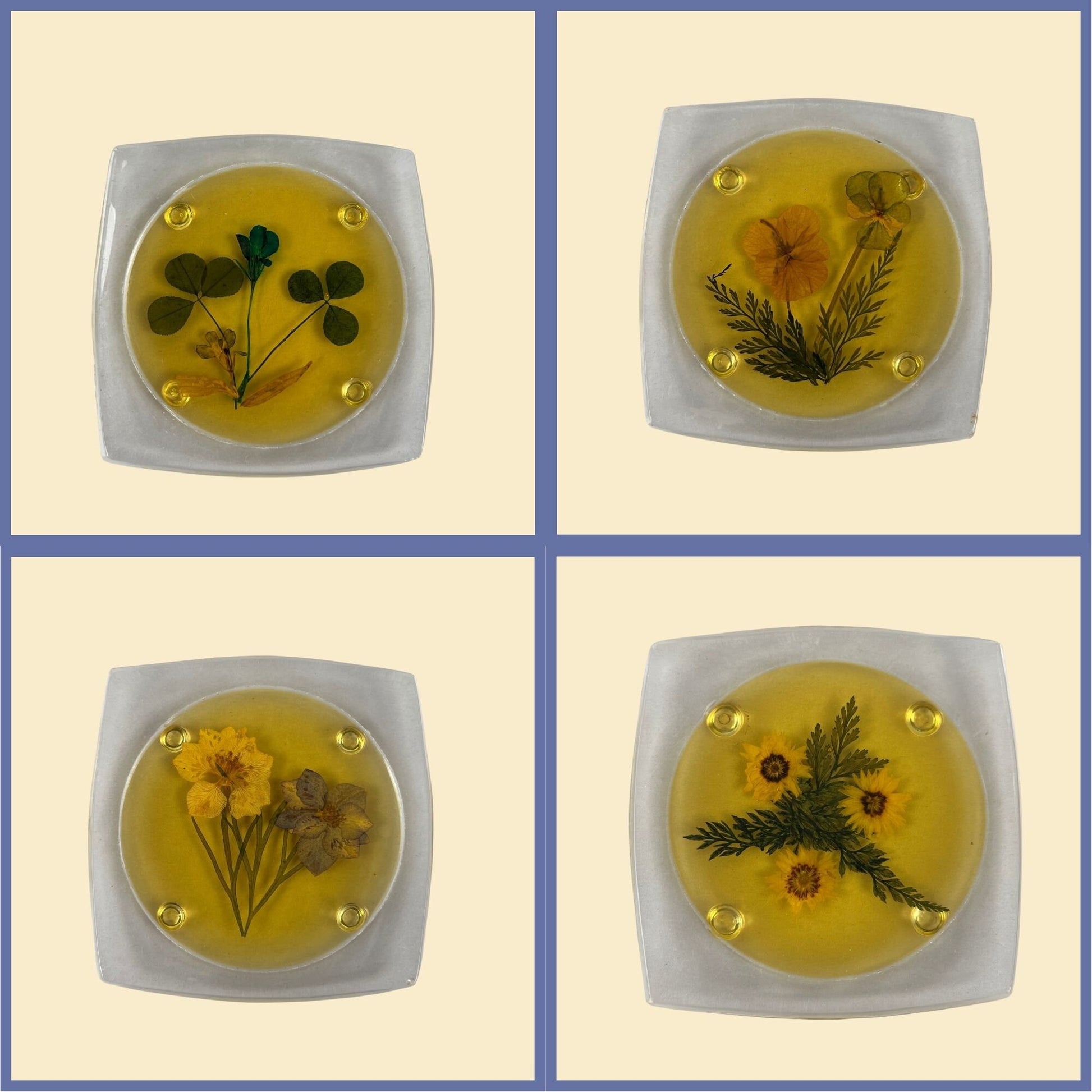 Vintage 70s pressed flower coasters, set of four 1970s lucite dried flower coasters