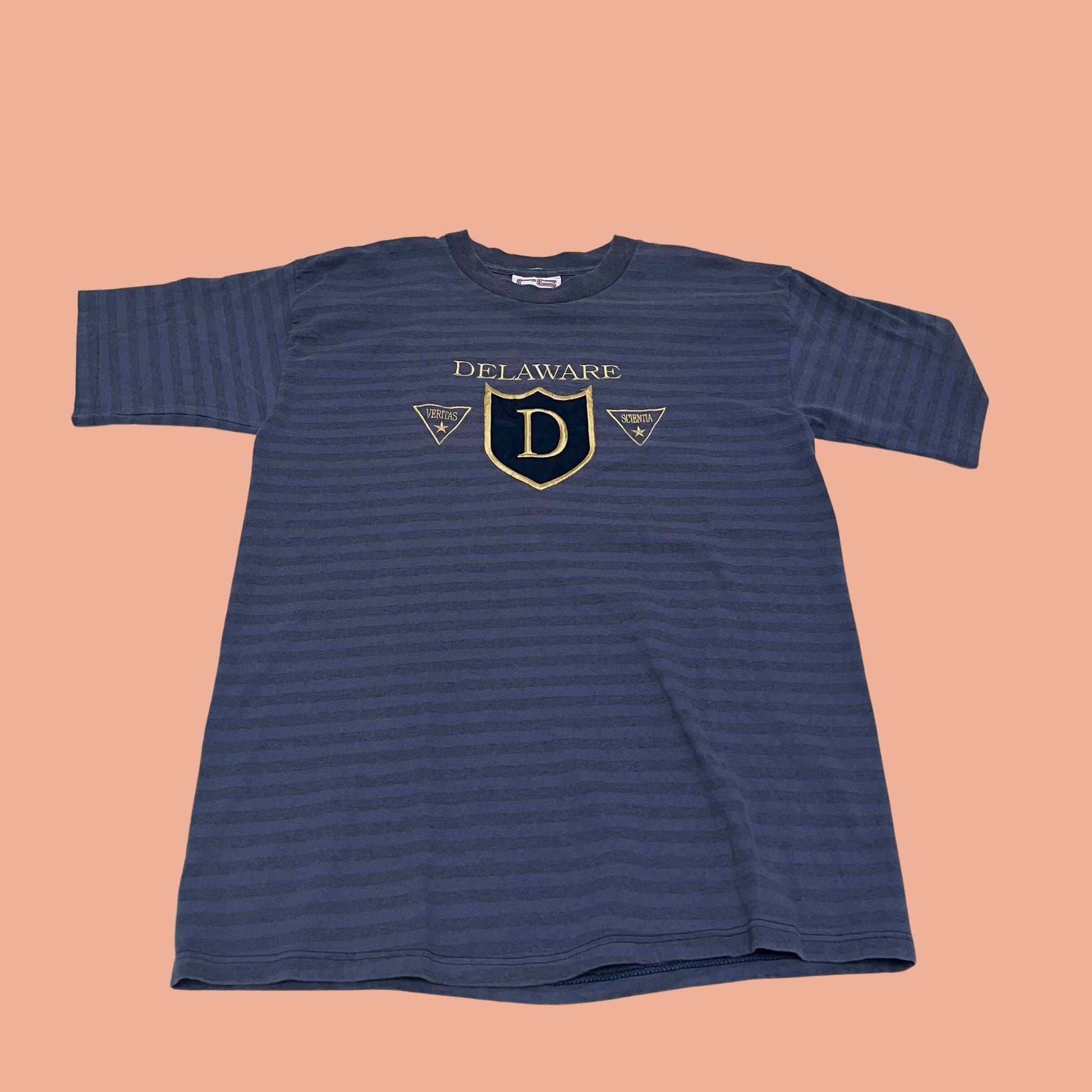 Vintage 90s Delaware t shirt, medium blue embroidered Delaware tee, 1990s striped single stitch men's shirt