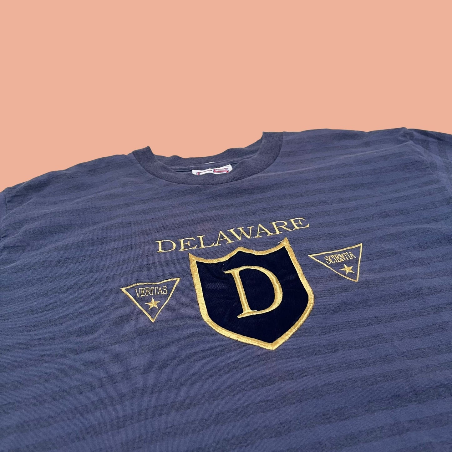 Vintage 90s Delaware t shirt, medium blue embroidered Delaware tee, 1990s striped single stitch men's shirt